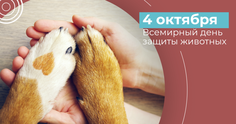 День защиты животных.